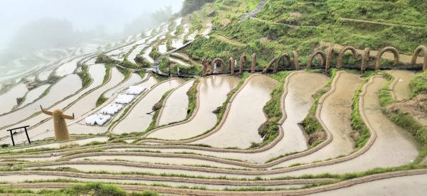 云和梯田.jpg